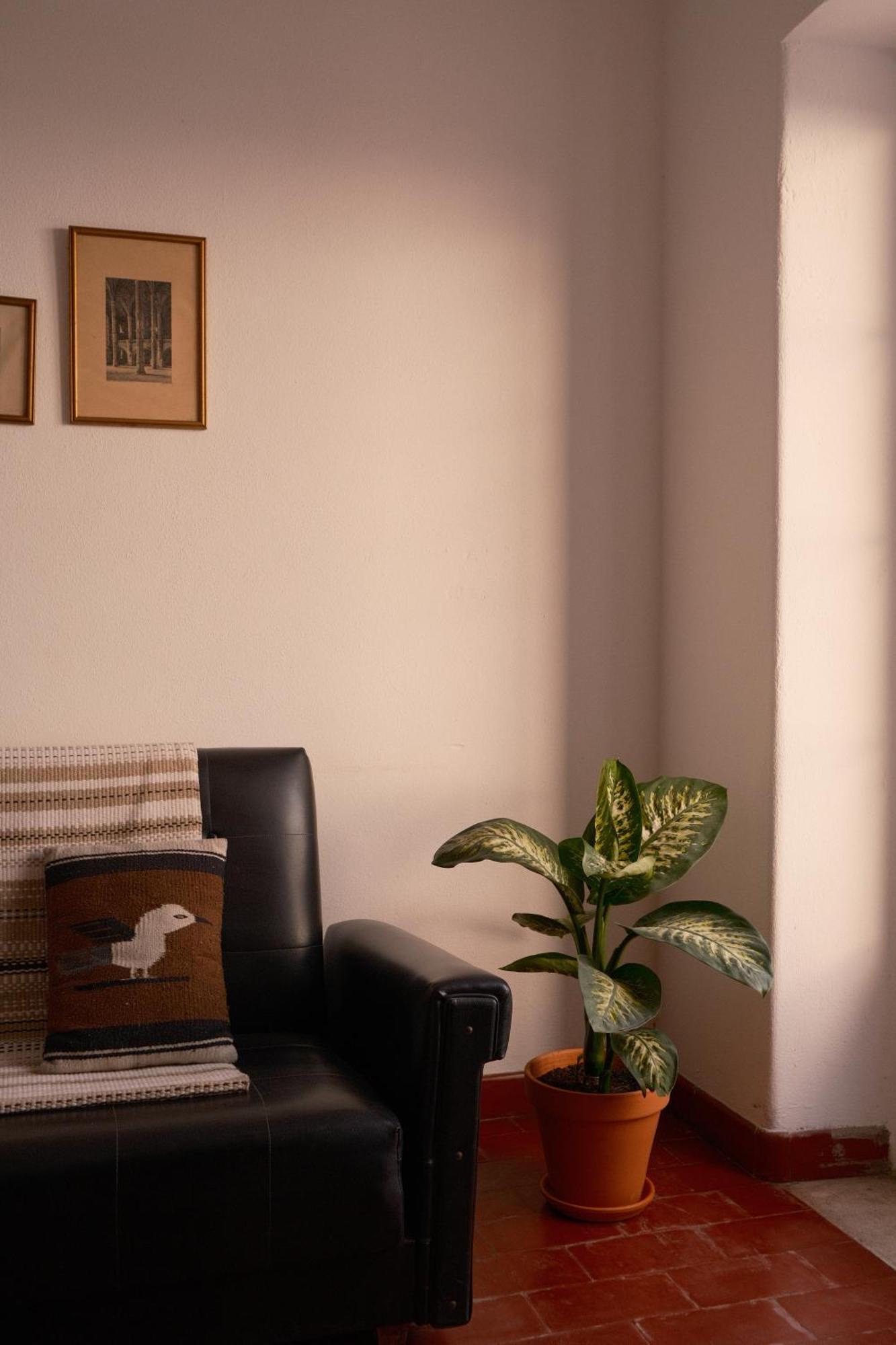 Manas Coliving Leilighet Sines Eksteriør bilde